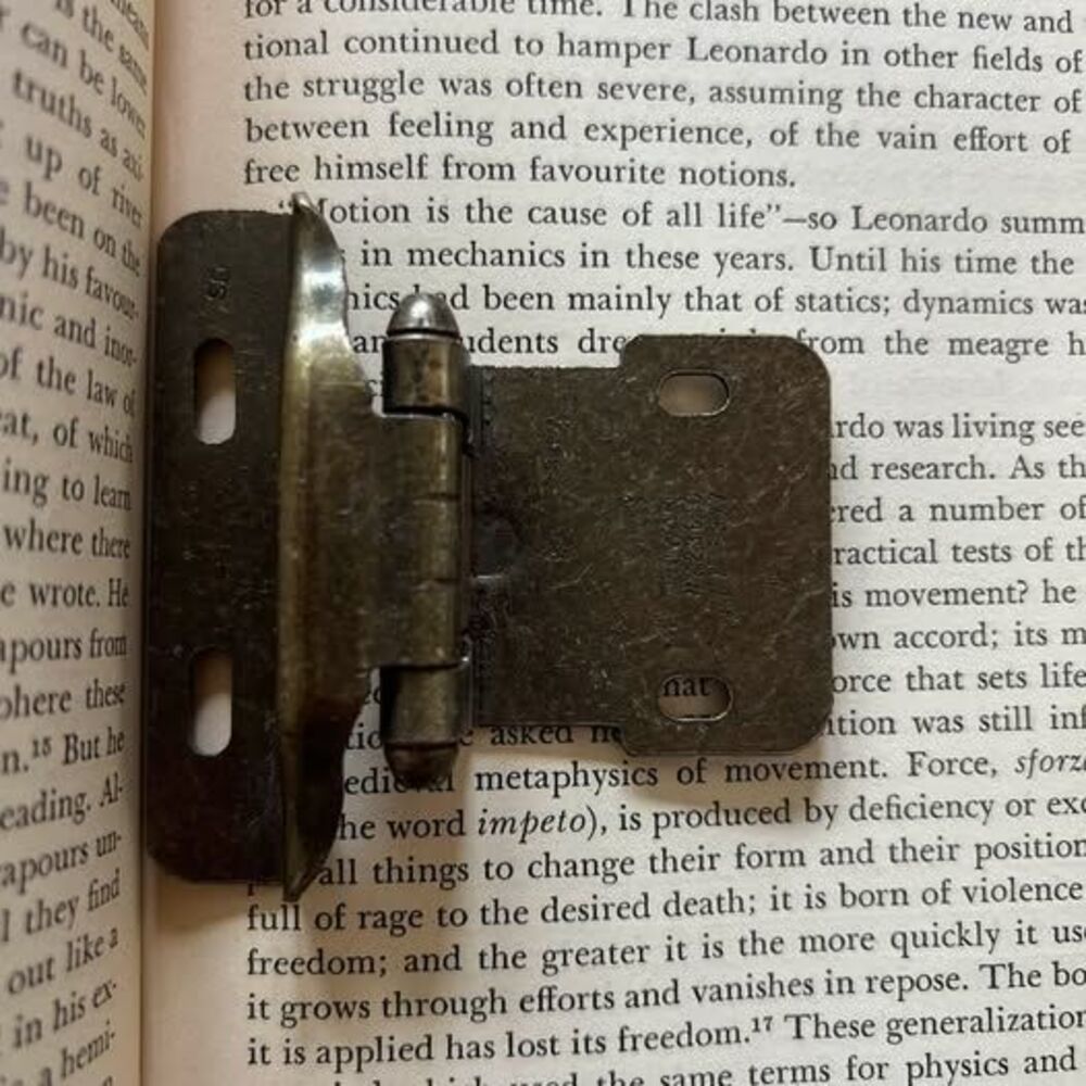 Single Vintage Brass Cabinet Hinge